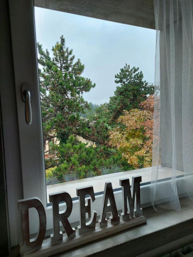 La Pineta - Delightful Small Apartment Near The City Center LʼAquila Exteriör bild
